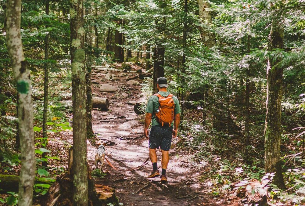 hiking at michigan